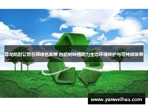 尊龙凯时公司引领绿色发展 白蜡树种植助力生态环境保护与可持续发展