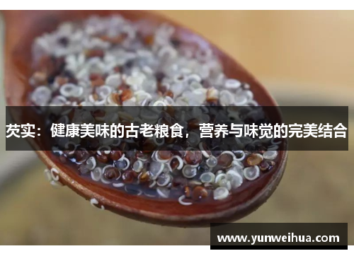 芡实:健康美味的古老粮食,营养与味觉的完美结合 芡实:健康美味的古老粮食,营养与味觉的完美结合