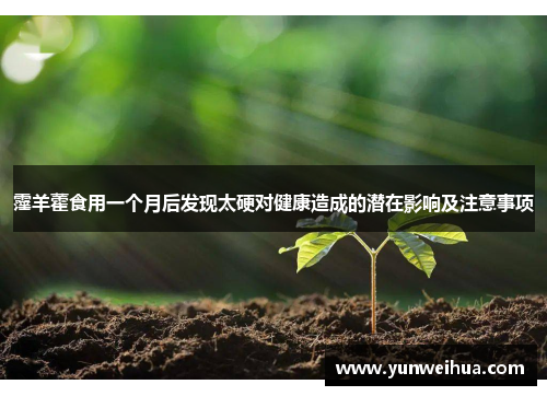 霪羊藿食用一个月后发现太硬对健康造成的潜在影响及注意事项