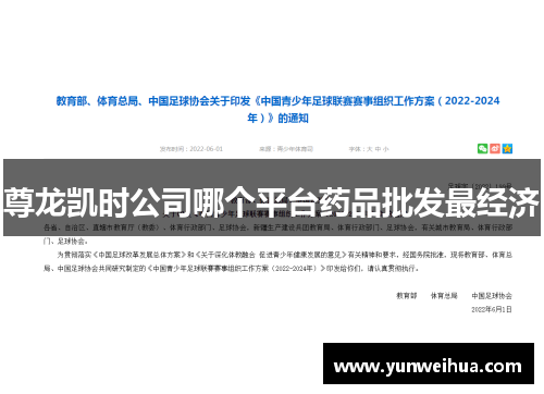 尊龙凯时公司哪个平台药品批发最经济 尊龙凯时公司哪个平台药品批发最经济