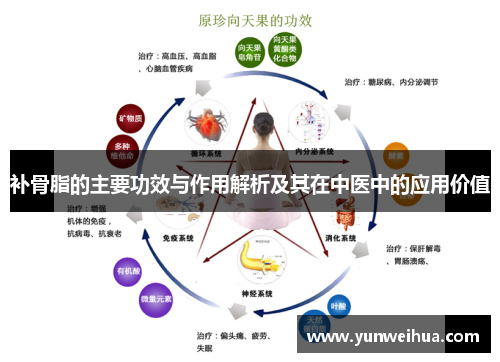 补骨脂的主要功效与作用解析及其在中医中的应用价值