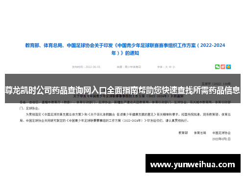 尊龙凯时公司药品查询网入口全面指南帮助您快速查找所需药品信息