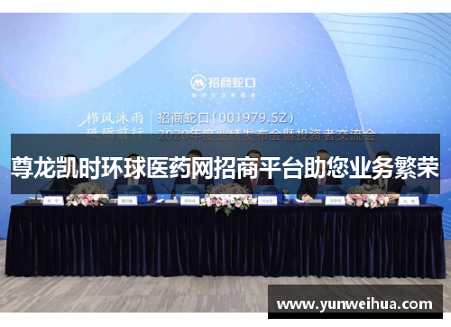 尊龙凯时环球医药网招商平台助您业务繁荣
