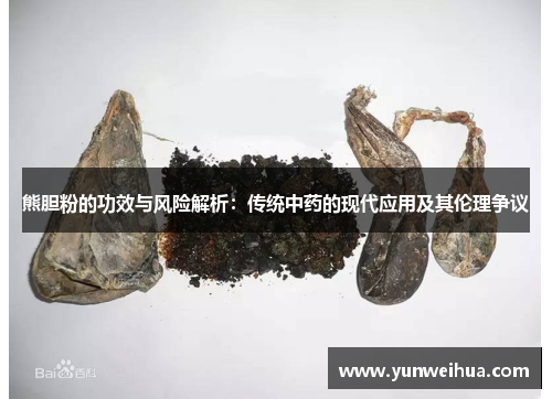 熊胆粉的功效与风险解析:传统中药的现代应用及其伦理争议