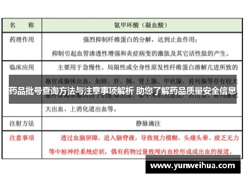 药品批号查询方法与注意事项解析 助您了解药品质量安全信息